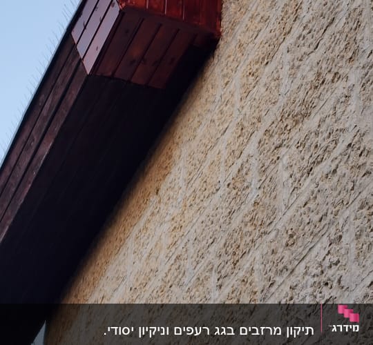 מרזב על קיר אבן עם קוצים למניעת ציפורים